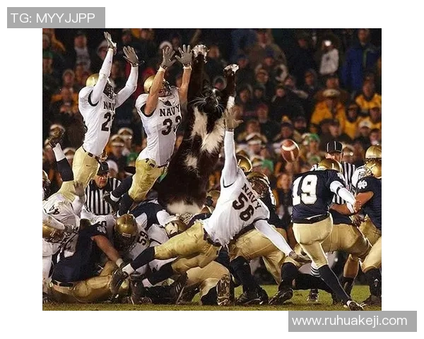 当篮球明星遇上我这只小猫咪我们的甜蜜宠爱日常